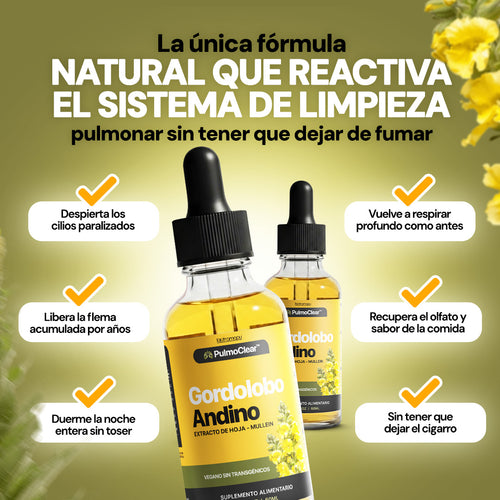 PulmoClear — Limpieza Pulmonar Para Fumadores