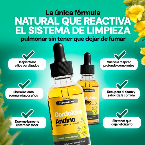 PulmoClear — Limpieza Pulmonar Para Fumadores